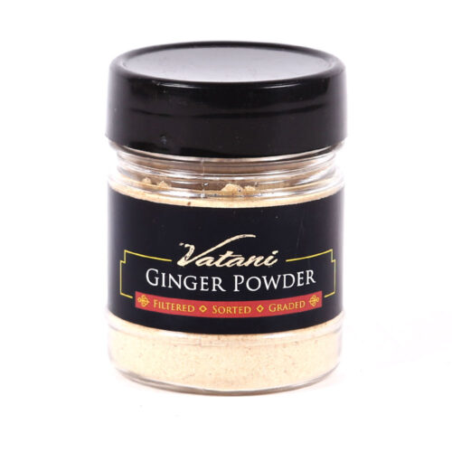 VATANI GINGER POWDER BOTTLE 48GM