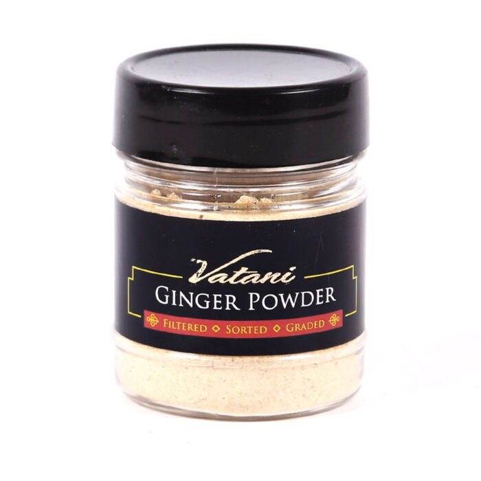 VATANI GINGER POWDER BOTTLE 48GM