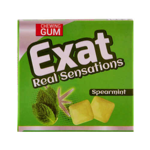 EXAT ENVELOPE BUBBLE SPEARMINT 16GM