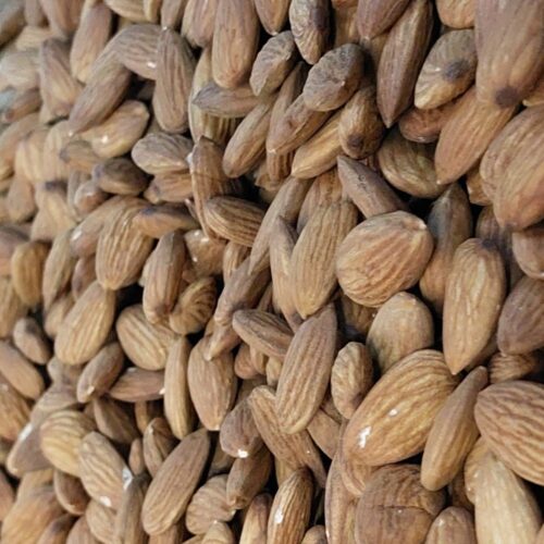 ALMOND GOLDEN WO SHELL USA S LOOSE