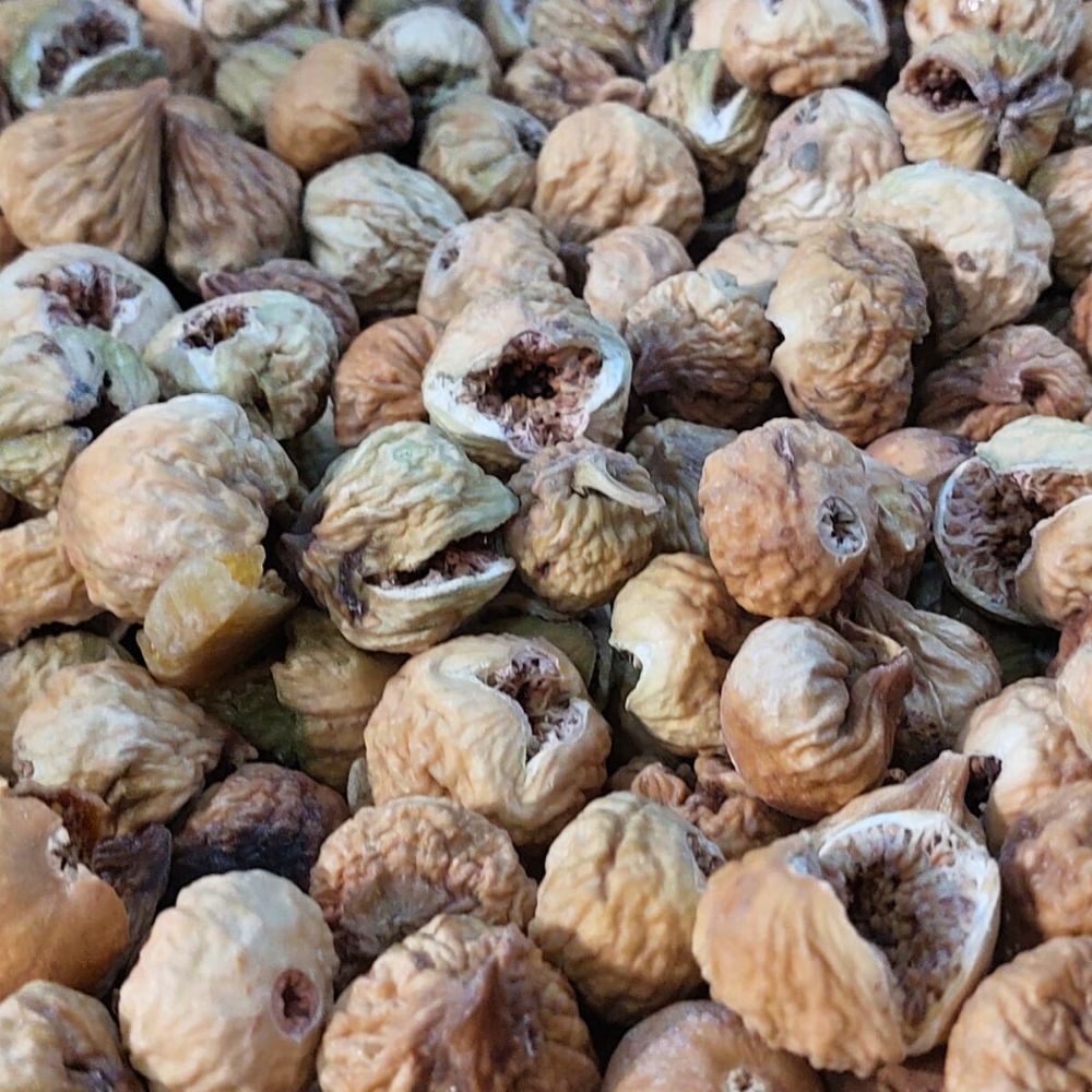 FIG IRANI GOLL LOOSE