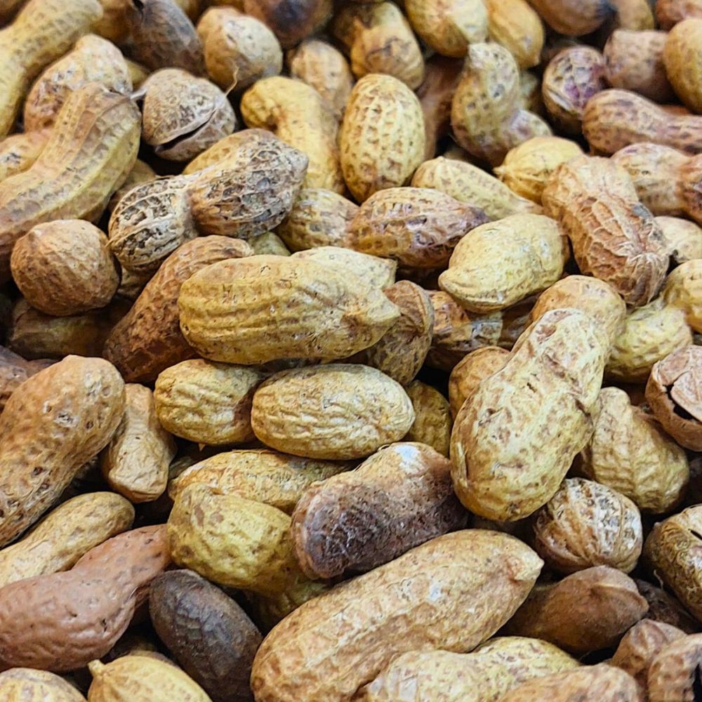 PEANUT WITH SHELL LOOSE