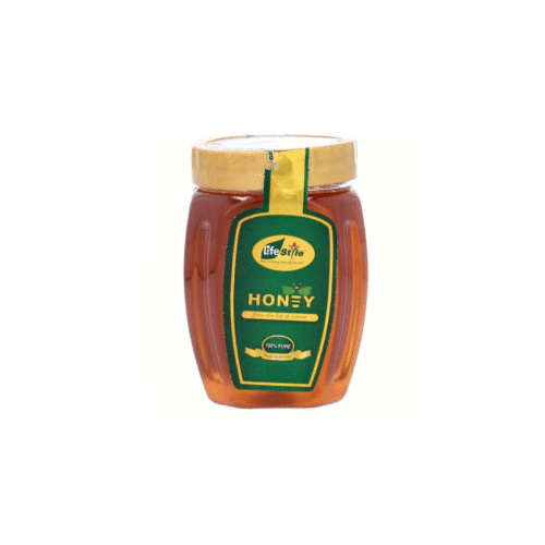 LIFE STYLE HONEY 400 GM