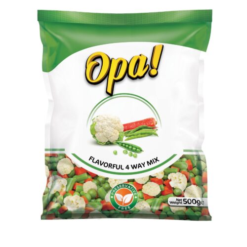 FAUJI FRESH AND FREEZE 4 WAY MIX 500GM